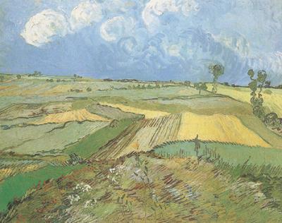 Vincent Van Gogh Wheat Fields at Auvers under Clouded Sky (nn04) oil painting image